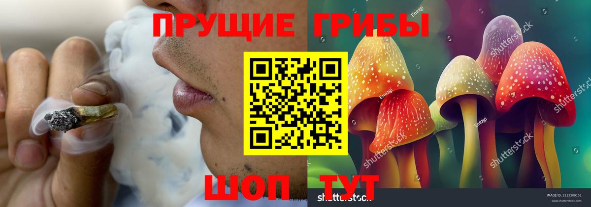 Псилоцибиновые грибы Psilocybe Лабытнанги